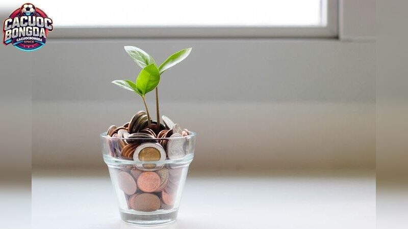 Bí quyết chọn tỷ lệ kèo trực tuyến tốt nhất