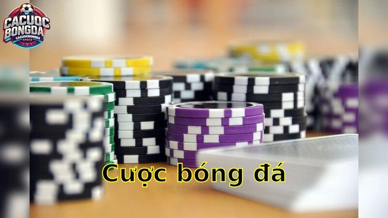 Cược bóng đá – Nâng Tầm Trải Nghiệm Cá Cược Của Bạn 2025