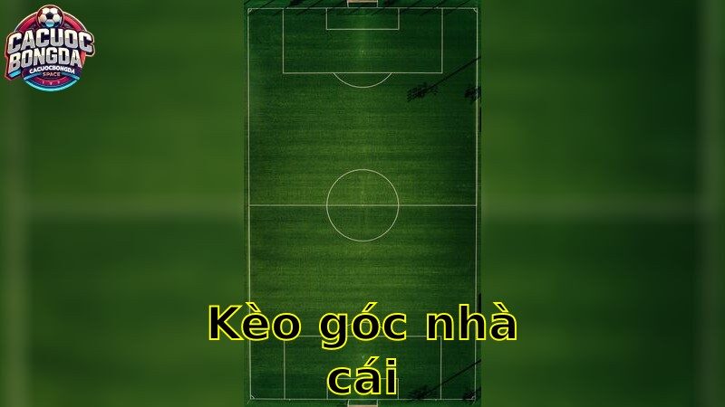 Kèo góc nhà cái – Cách Chọn Kèo Hấp Dẫn 2025